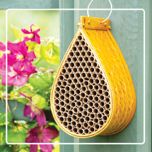 Teardrop Mason Bee House hanging on blue wall with flowers nearby