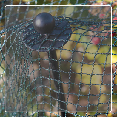 Close up of Bird Netting over stake