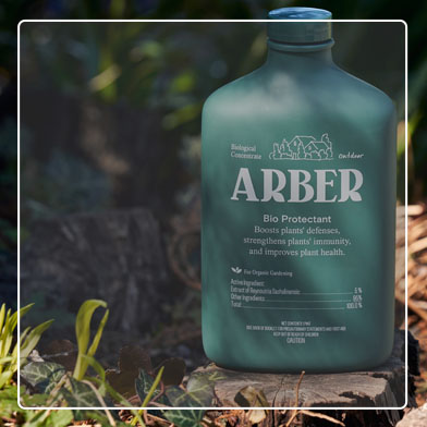 Bottle of Arber Bio Protectant Outdoor displayed in woods on stump