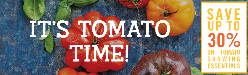 Tomatoes in background of Tomato Time Sale banner