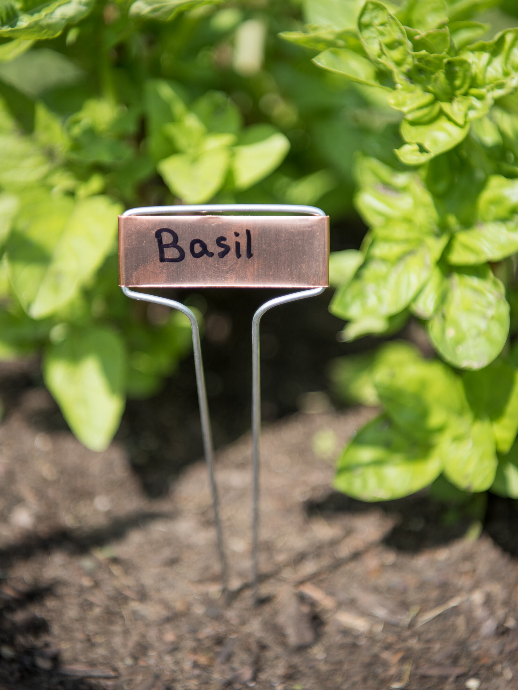 Details about   Metal Plant Label Garden Markers Reusable Nursery Stake Tags Weatherproof Banner 