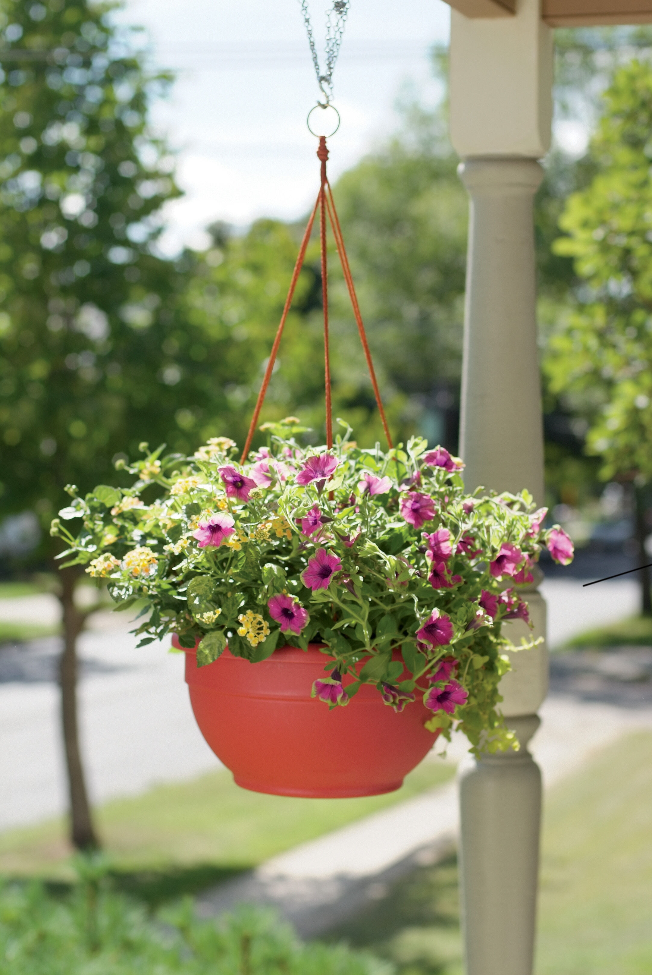 Hanging Baskets For Plants Self Watering 125 Orders Ship Free