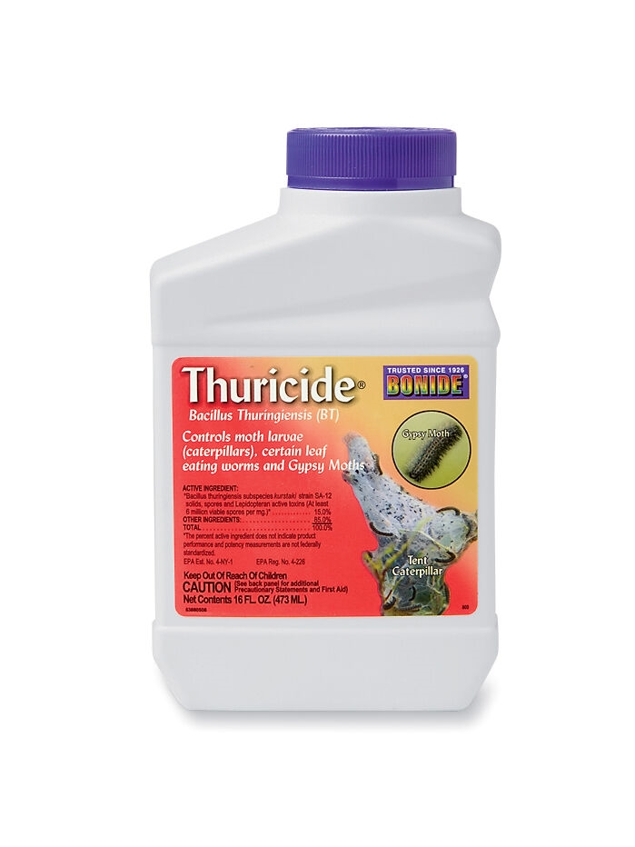 BT Thuricide Concentrate Caterpillar Control