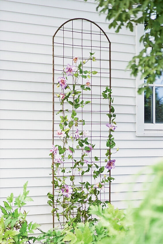 Jardin Flower Trellis