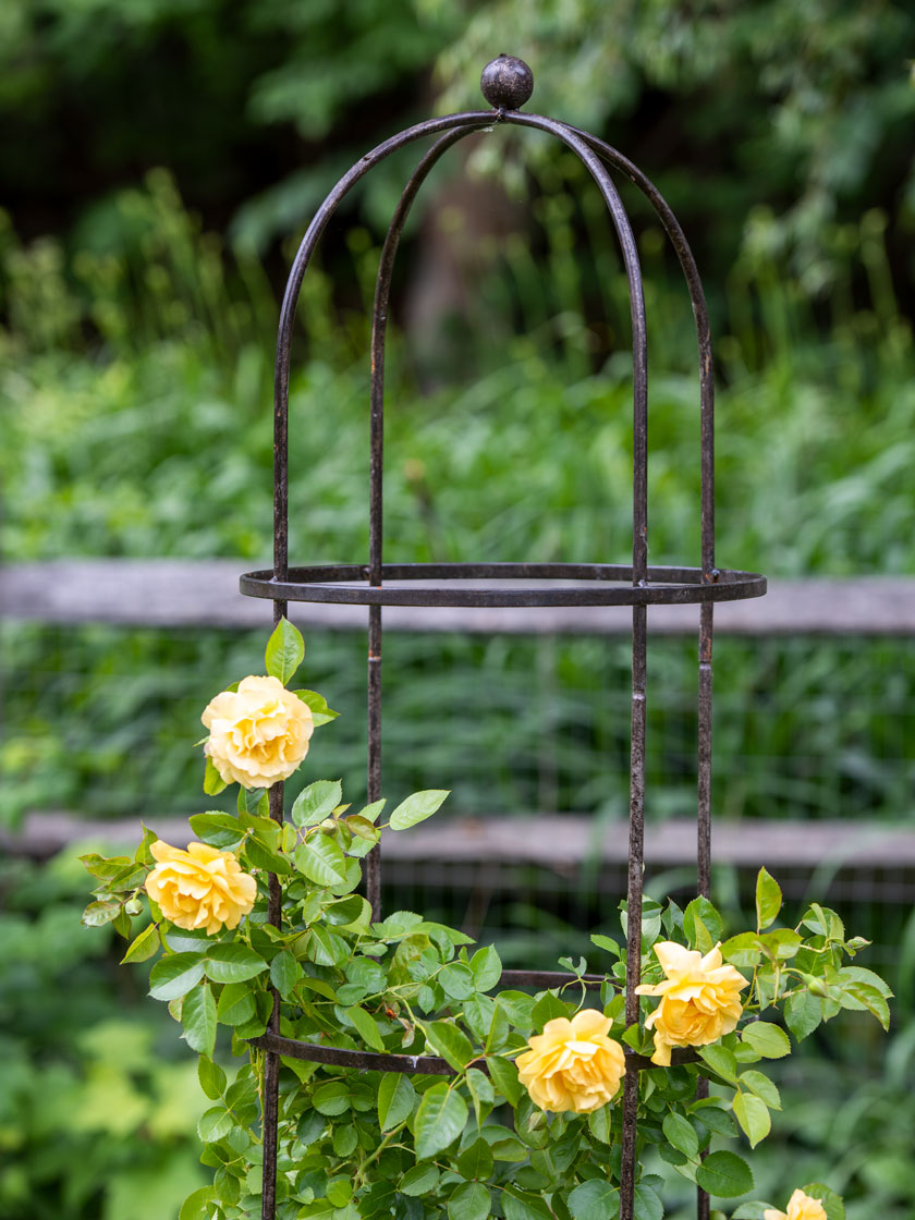 Jardin Round Garden Obelisk Tuteur 7 Ft | Gardeners.com