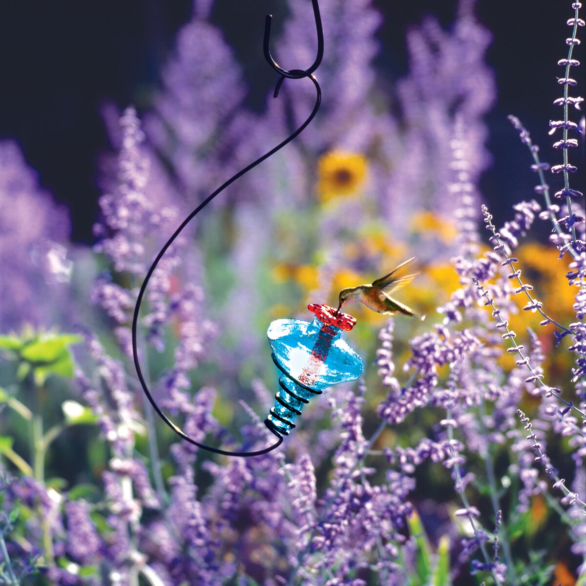 Blossom Hummingbird Feeder