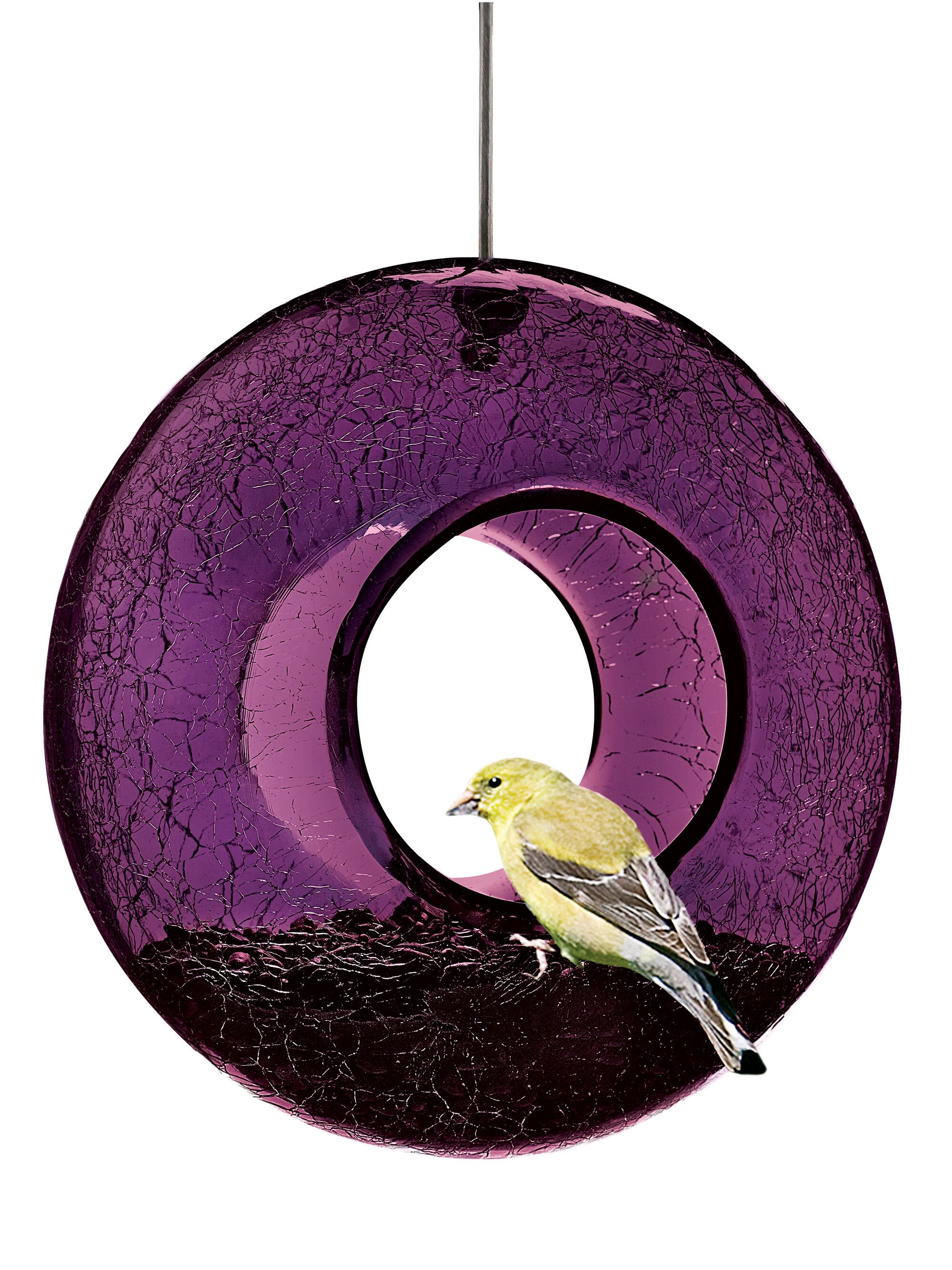 Glass sales bird feeders