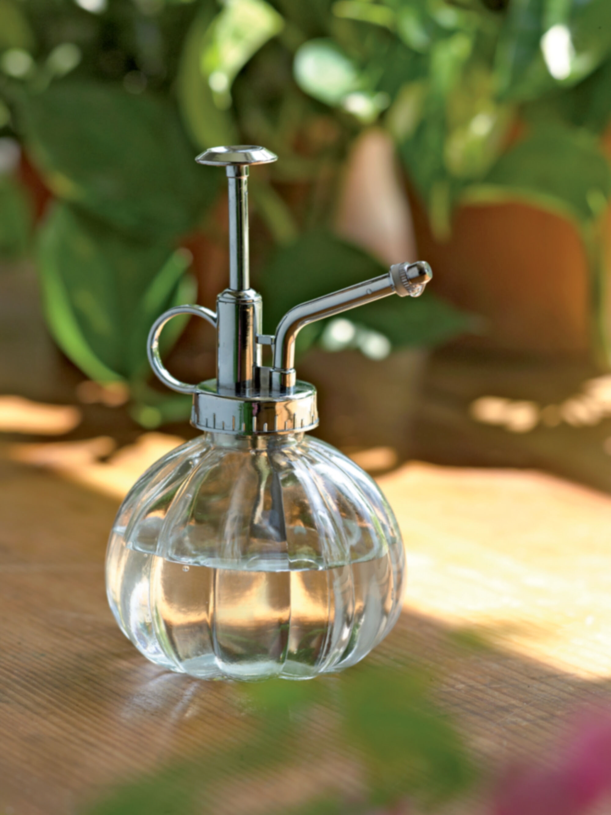 Ferns New Wonderful Glass Plant Mister Sprayer Atomizer for Orchids Orange 