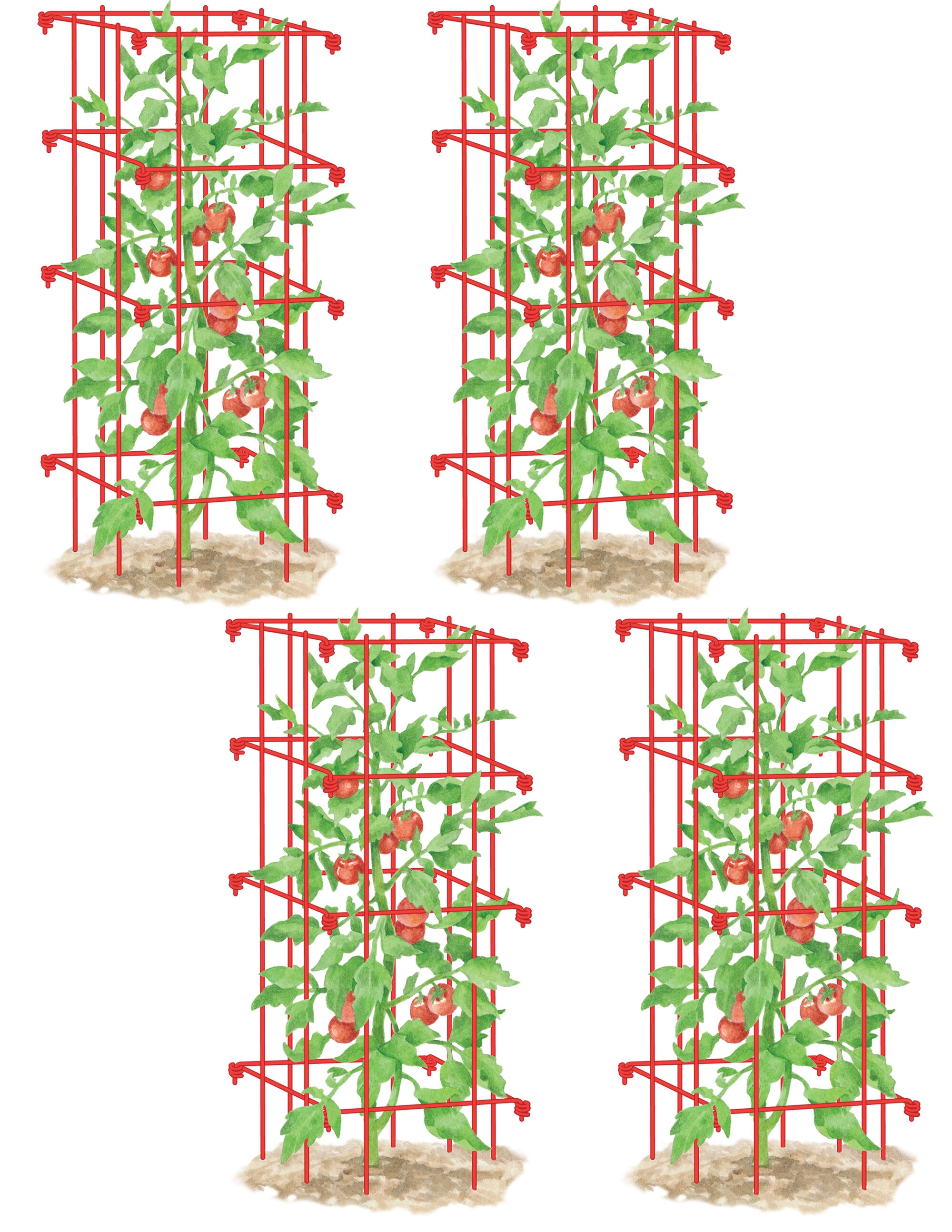 Tomato Cages, Set of 4, Green