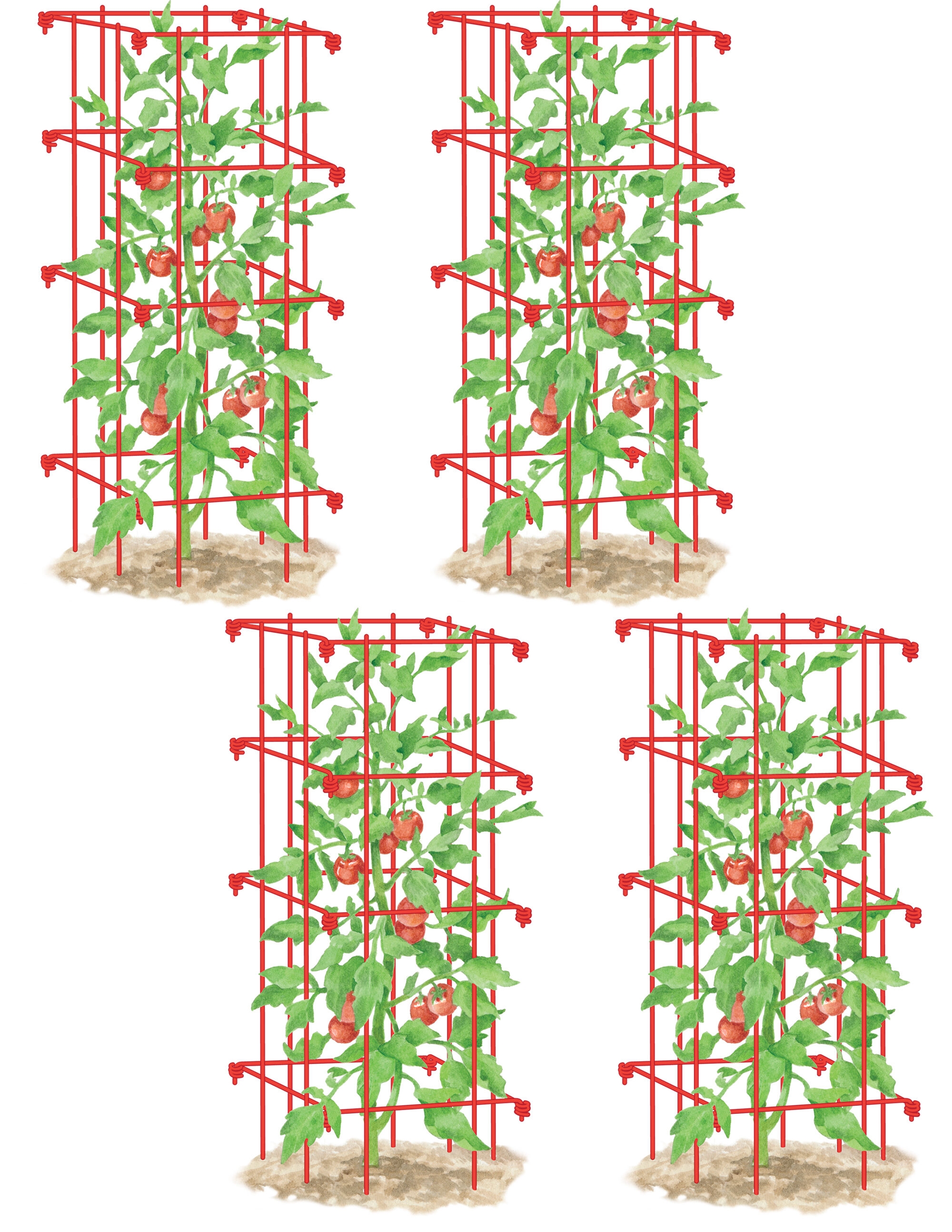 16900円 人気カラーの Growsun Large Tomato Cage 5ft Tall 5-Pack Plant Supports Garden Stakes 40