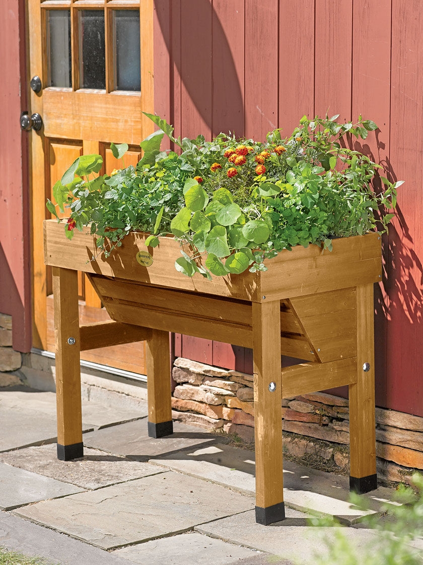 Wall Planter - Wallhugger VegTrug 18"x40"| Gardeners.com