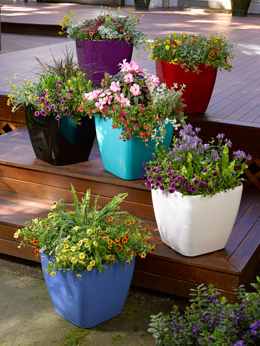 Viva Square Self-Watering Rolling Planter, 14" Diameter