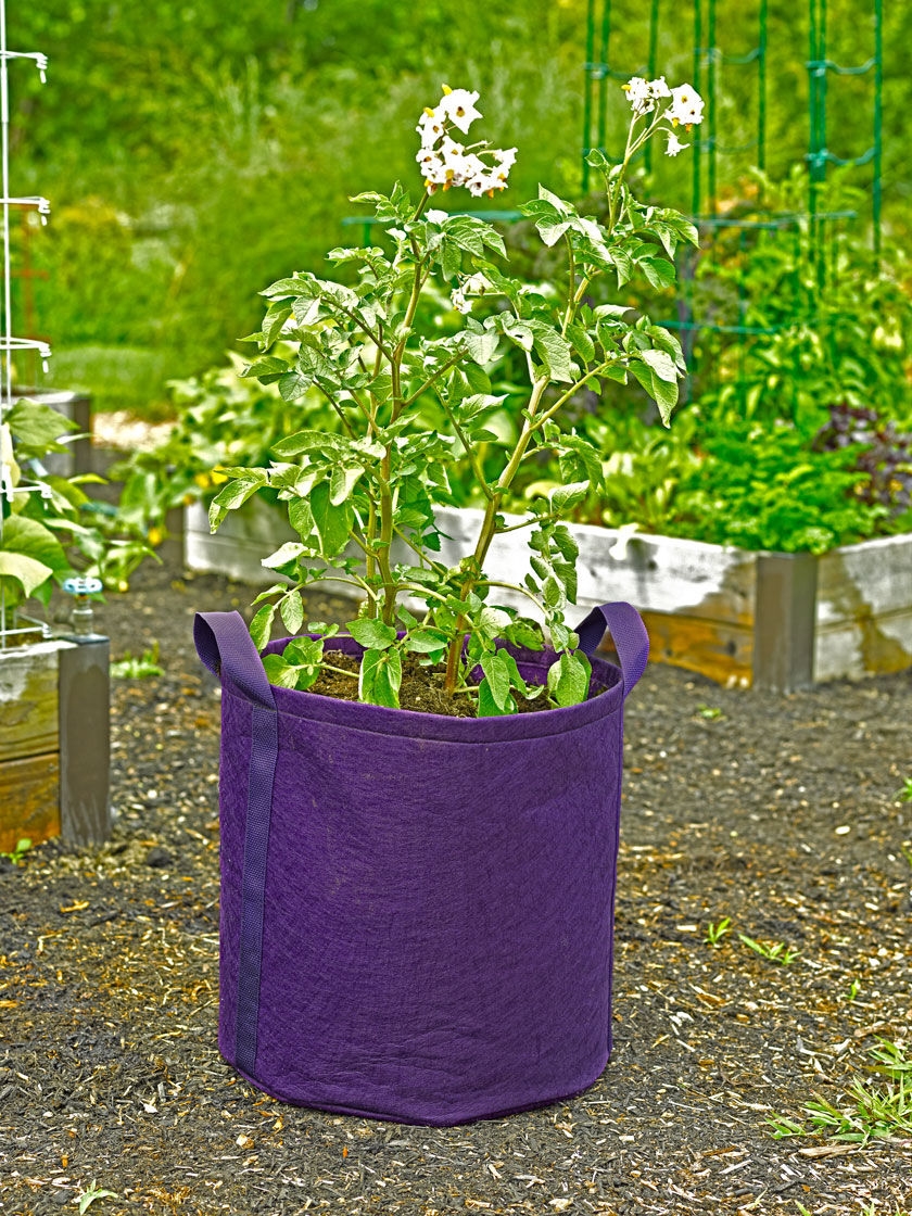 Potato Grow Bag Tomato Planting Bag PE & Felt Root Pots Vegetable Outdoor Garden 