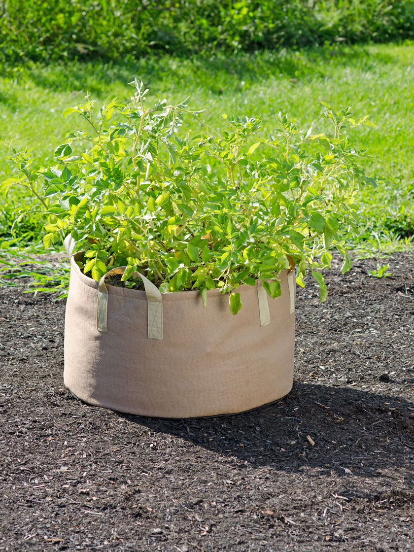 Gardener's Best® Jumbo Potato Grow Bag