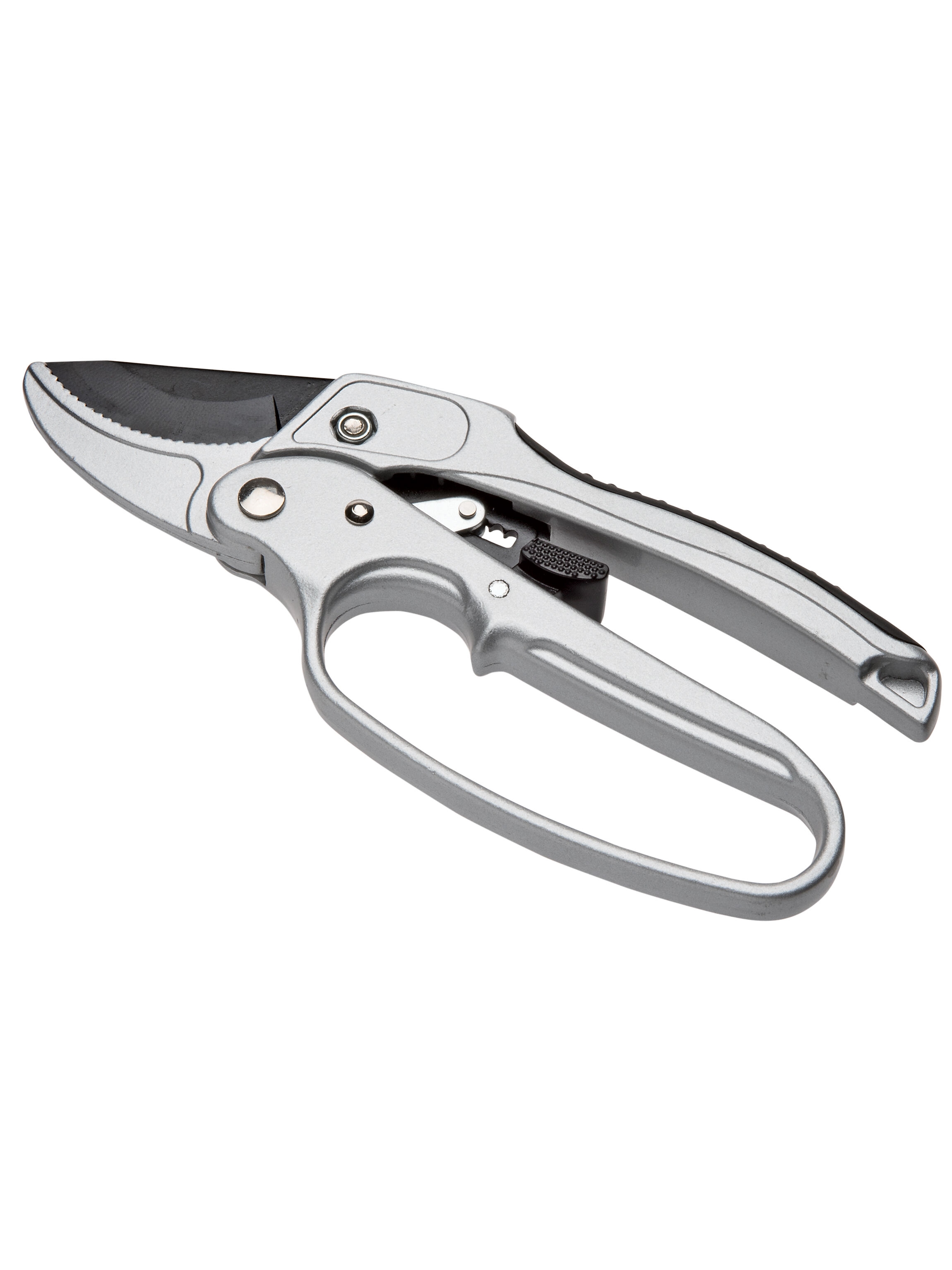 Ratchet Pruner