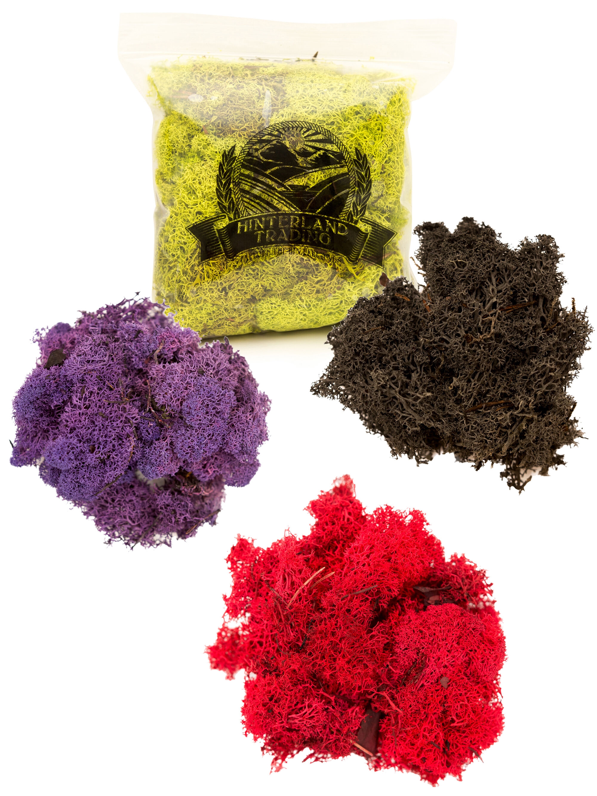  Fuchsia Colored Preserved Reindeer Moss - 2 oz - Indoor  Outdoor for Potted Plants, Terrariums, Fairy Gardens, Arts and Crafts or  Floral Decor Design : Patio, Lawn & Garden