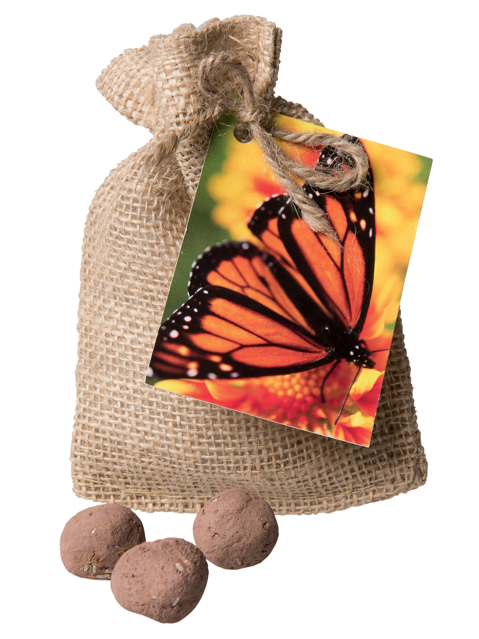 Monarch Butterfly Seed Balls