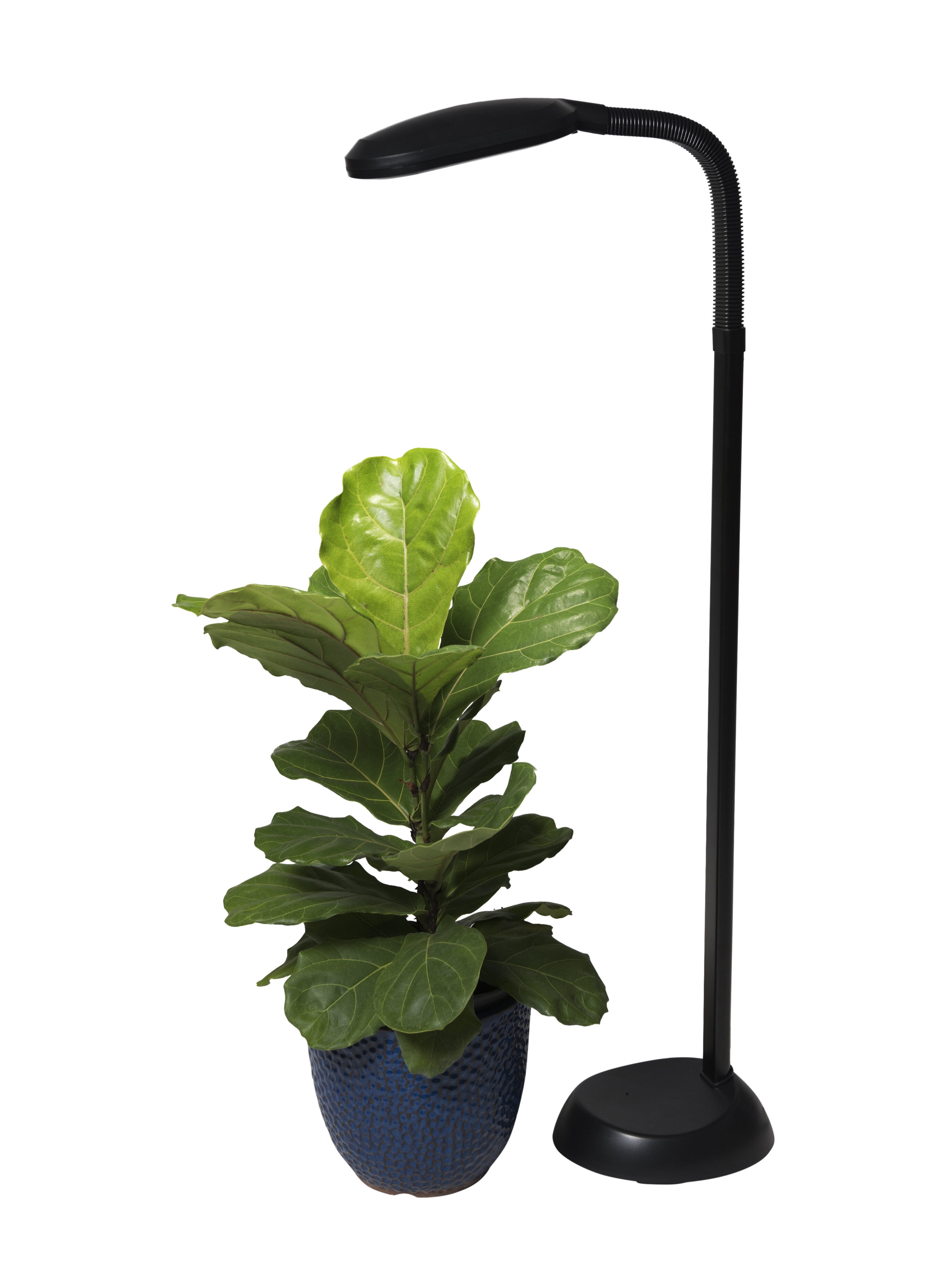 ACKE-Floor-Lamp-Standing-Lamp for Indoor Plants' Growing,Grow Light for Indoor P 