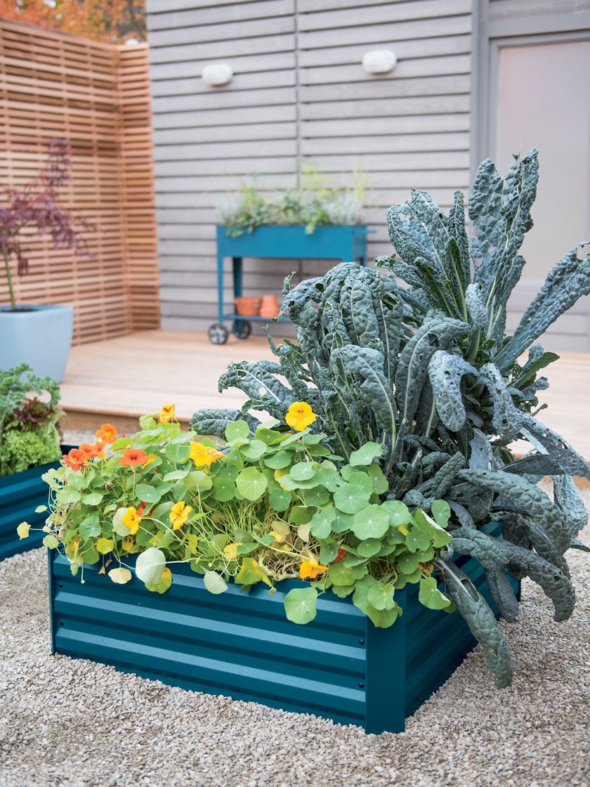 Demeter Corrugated Metal Raised Bed, 34" x 34"