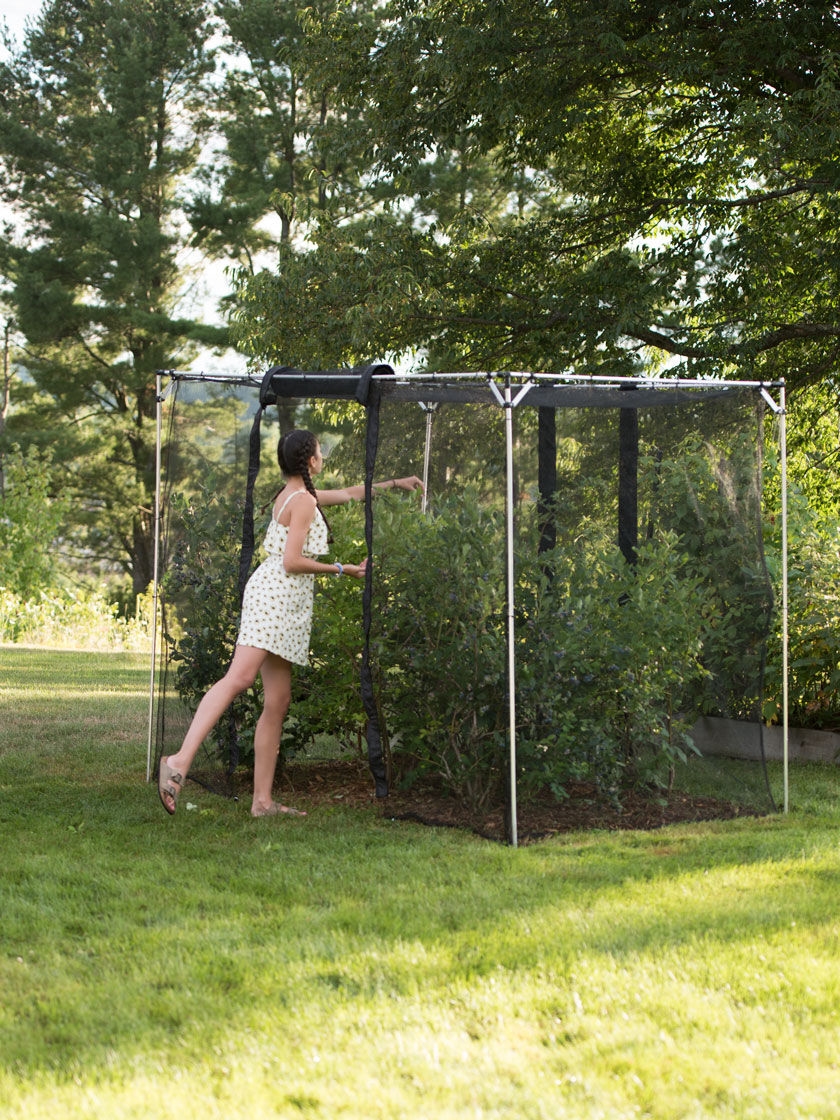 Storm Proof Crop Cage, Large