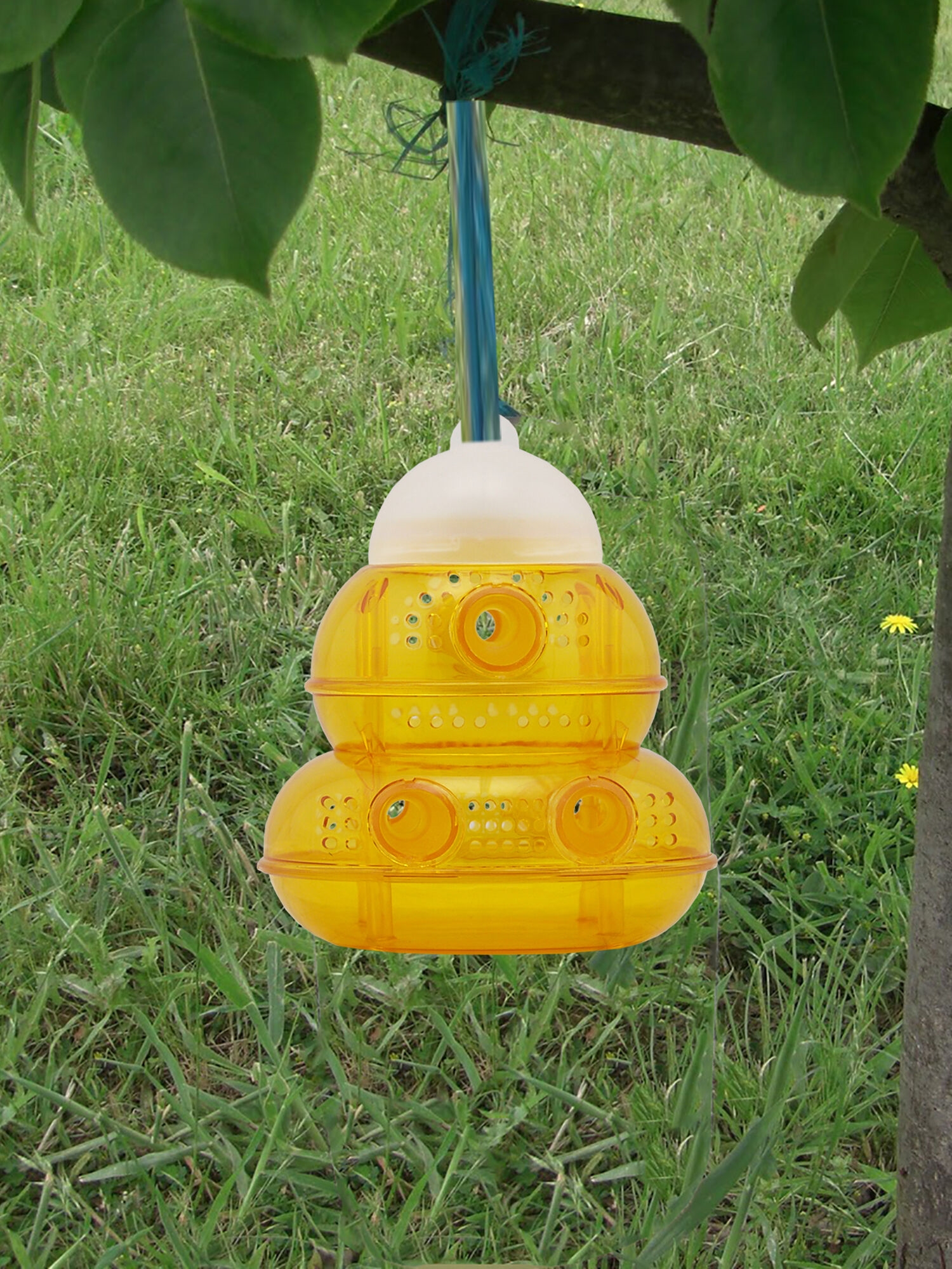 pic yellow jacket and wasp trap reviews