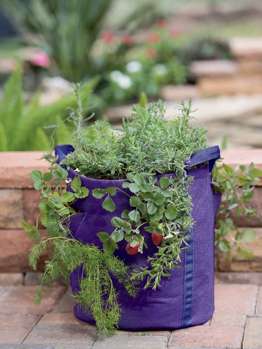 Gardener’s Best®  Strawberry and Herb Grow Bag