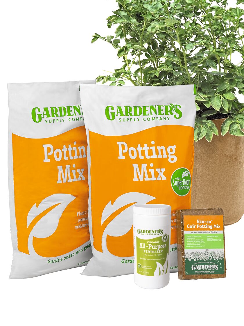 Growing Potatoes in Containers is Easy with Our Potato Success Kit