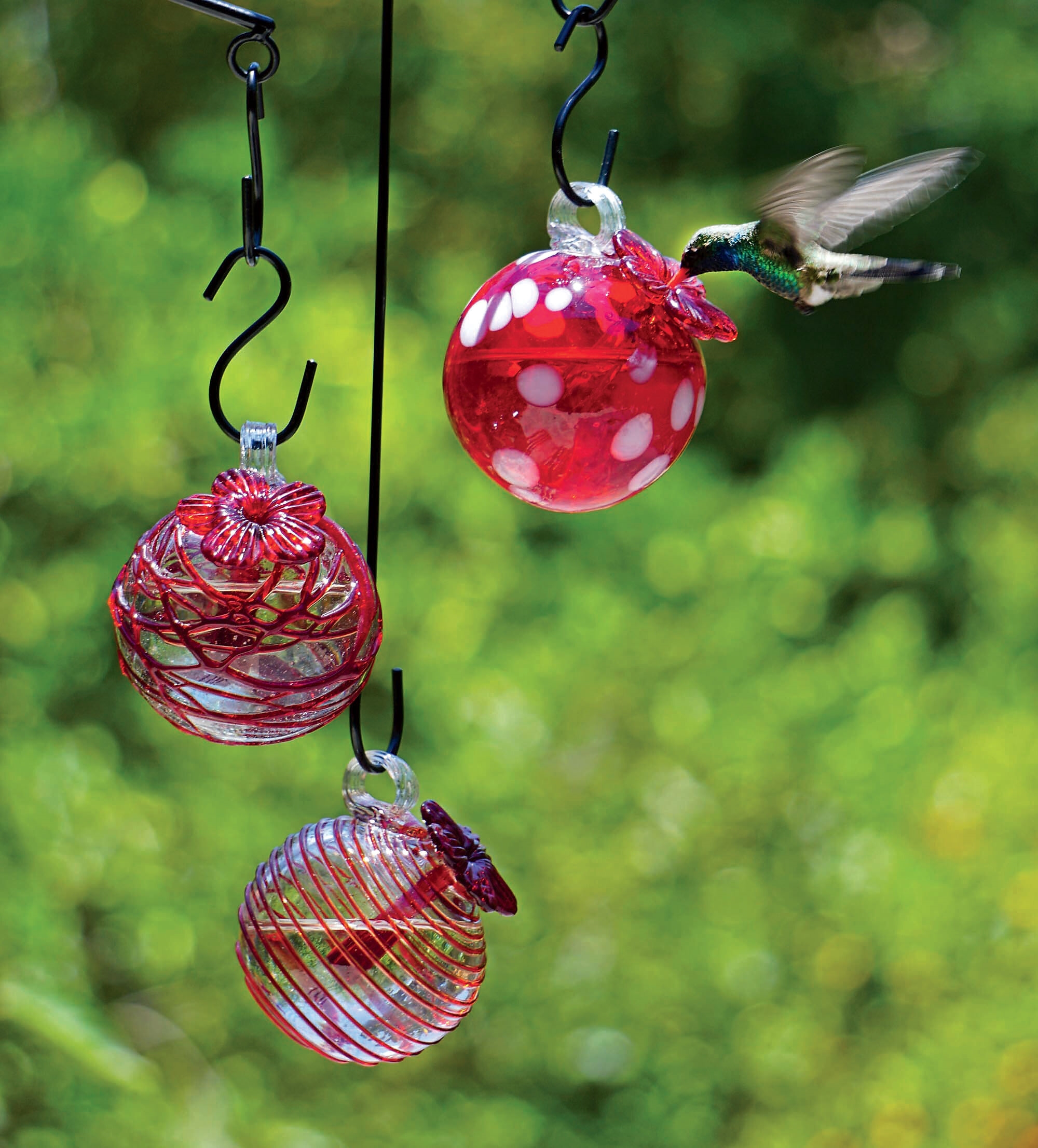 Droplet Hummingbird Feeders, Set of 3