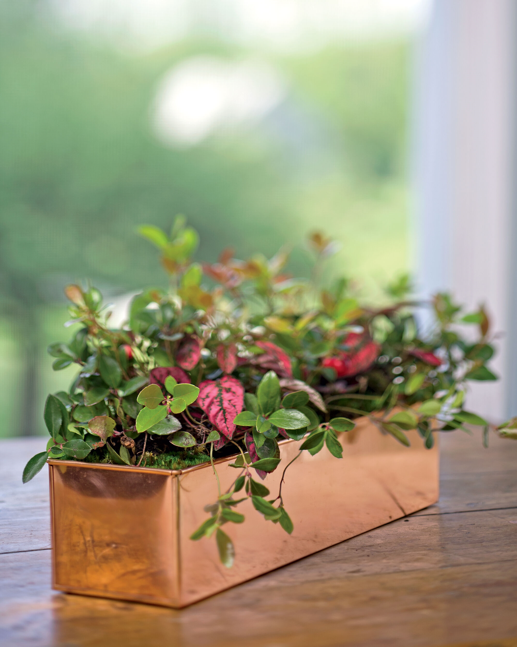 Tall Rectangular Copper Plant Tray, 18" x 5" x 4"