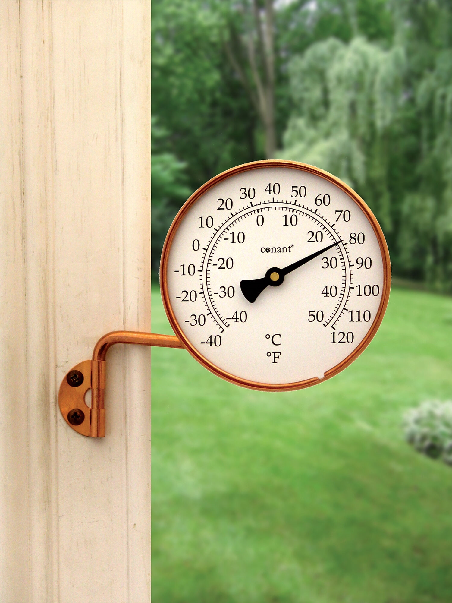 Fallen Fruits Bee Window Thermometer Fallen Fruits Bee Window Thermometer