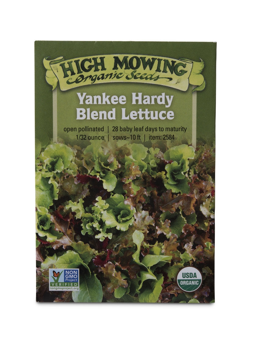 Yankee Hardy Blend Lettuce Organic Seeds
