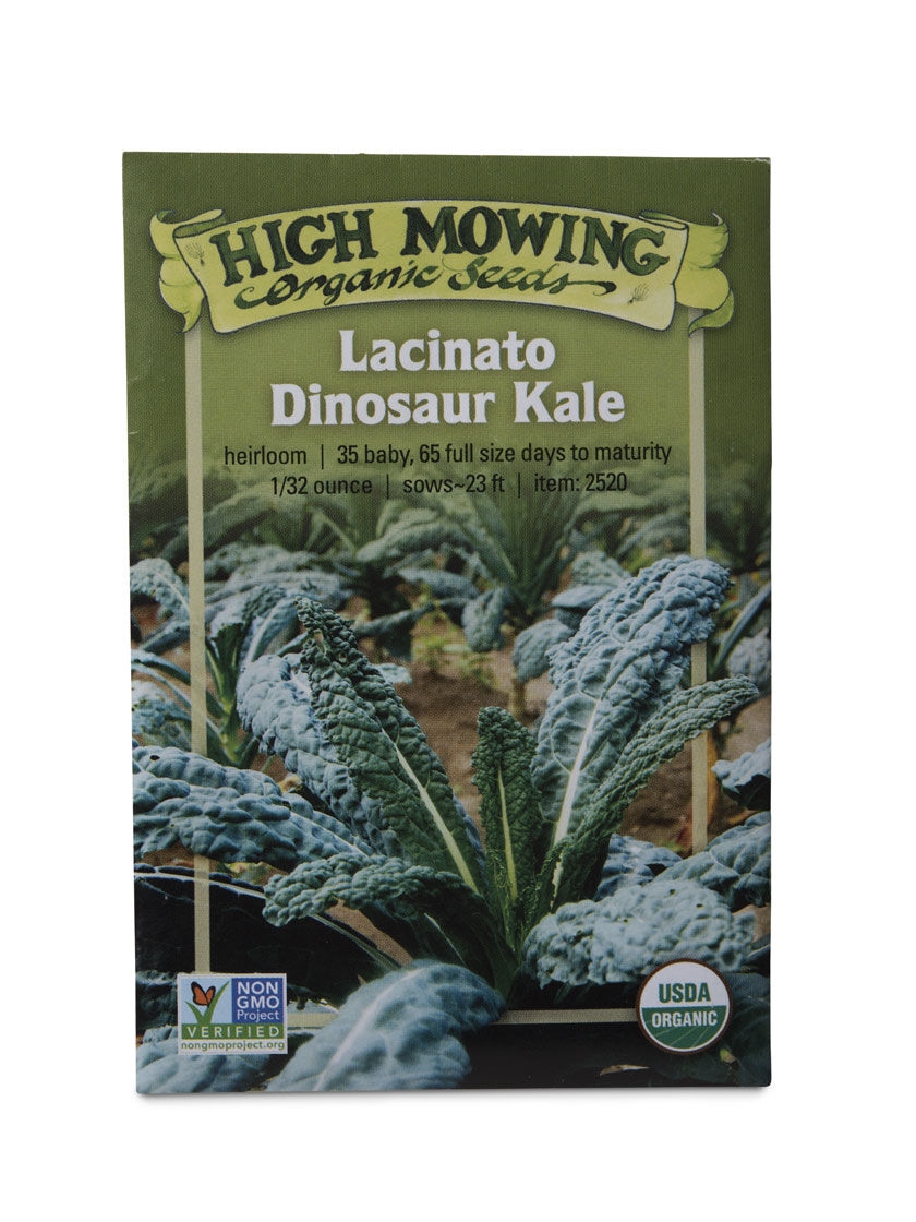 Lacinato Dino Kale Organic Seeds