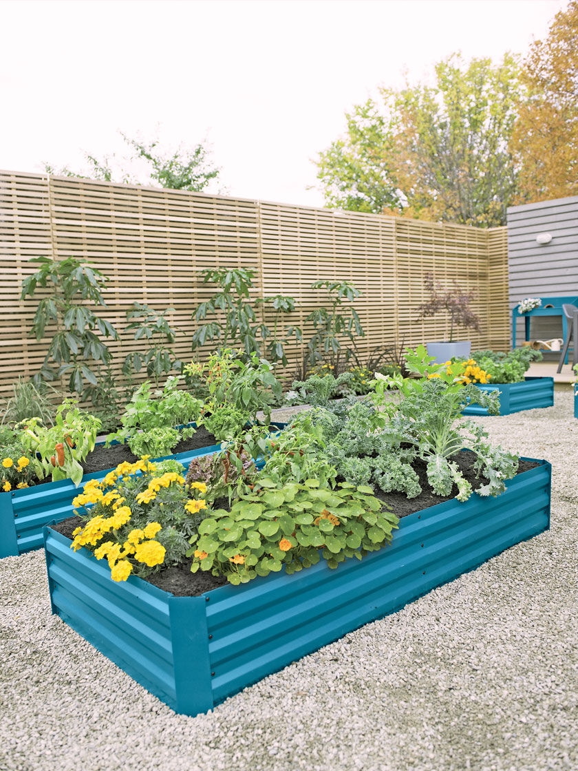 metal raised garden beds