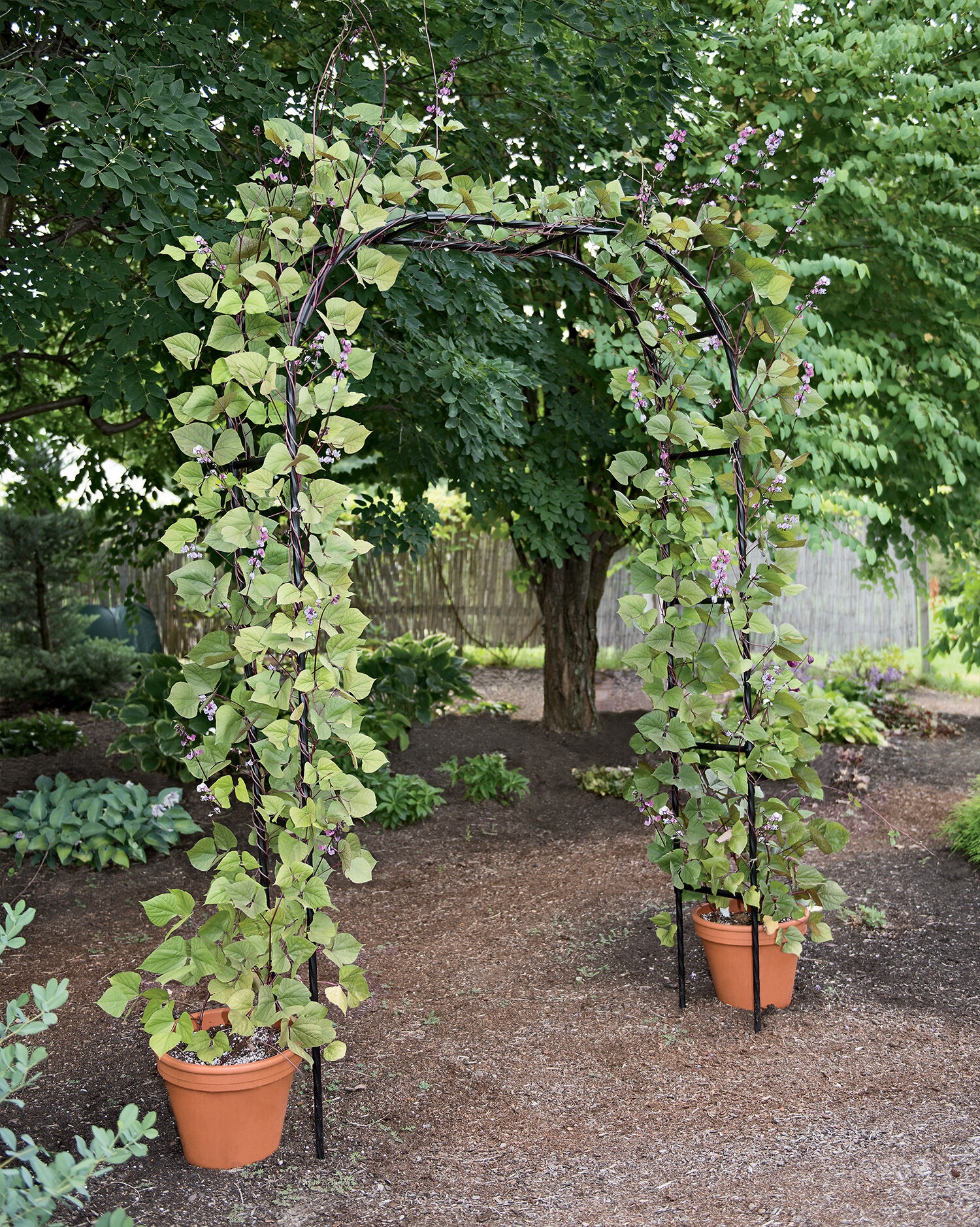Titan Garden Arch 7 Tall Black Metal Gardeners Com Titan Garden Arch 7 Tall Black Metal, Iron Garden Trellis Arch
