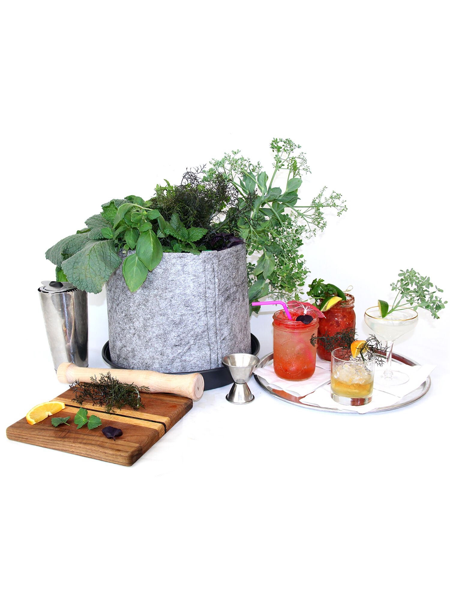 Grow Your Own Cocktails Container Garden Recipe Garden Kit Seedsheet 
