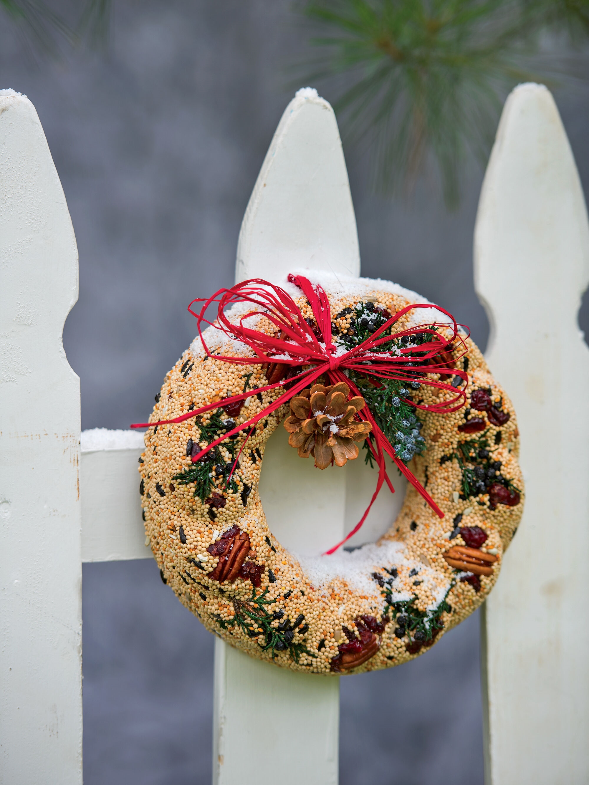 Birdseed Wreath