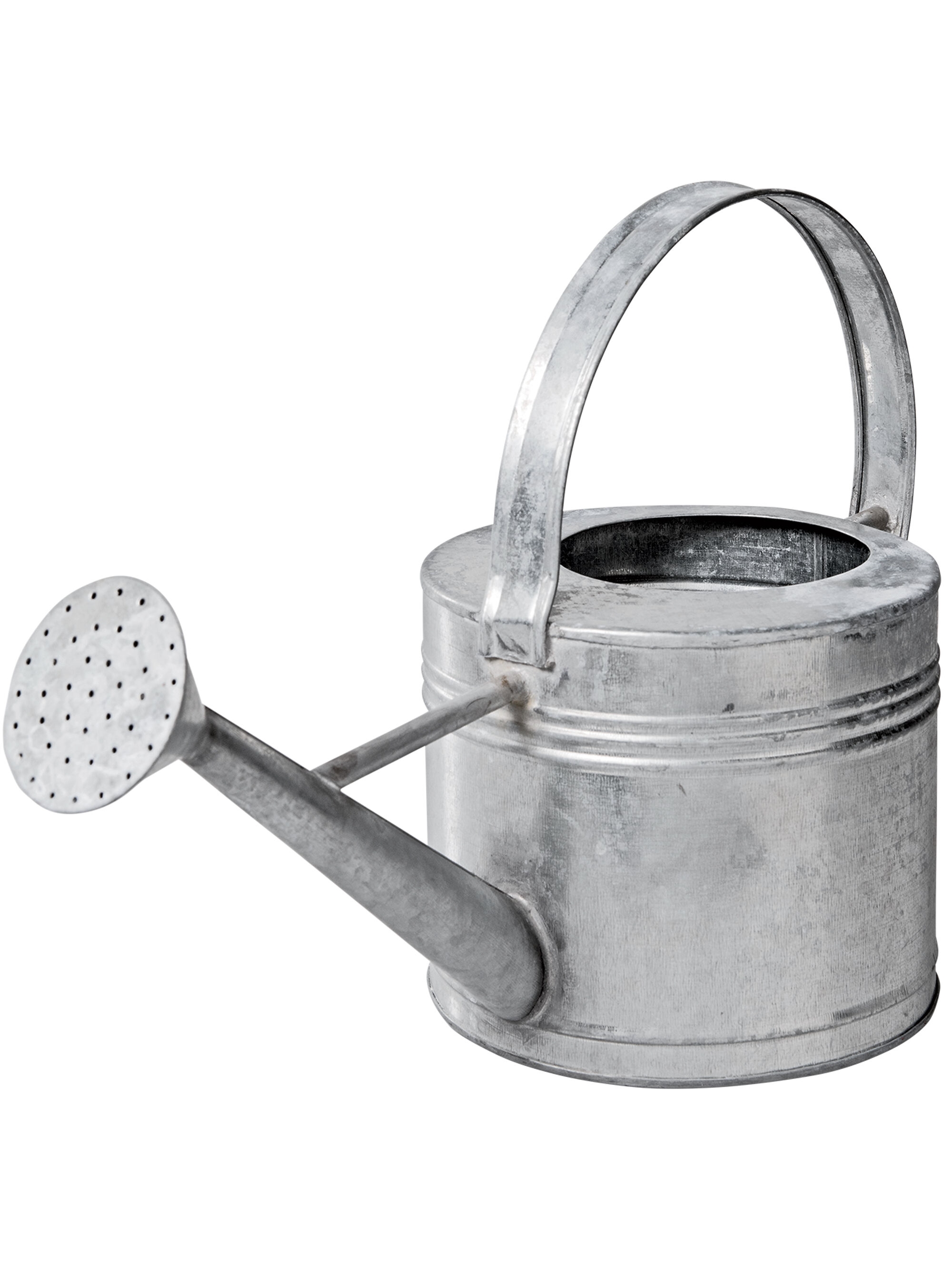 Galvanized Metal Watering Can 