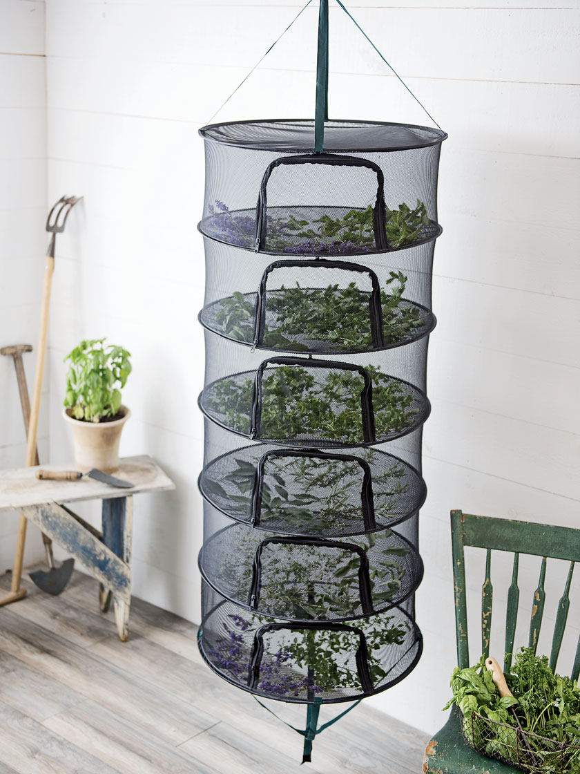 Hook Seeds Flowers Bud Garden Gloves for Herb 2ft 4 Layer Plant Drying Rack Dry Net Pruning Shears Herb Drying Rack Hanging Dryer Mesh Drying Rack with Green Zipper Nuts Hook Seeds Flowers Bud Garden Gloves for Herb 2ft 4 Layer Plant Drying Rack Dry Net Pruning Shears Herb Drying Rack Hanging Dryer Mesh Drying Rack with Green Zipper Nuts