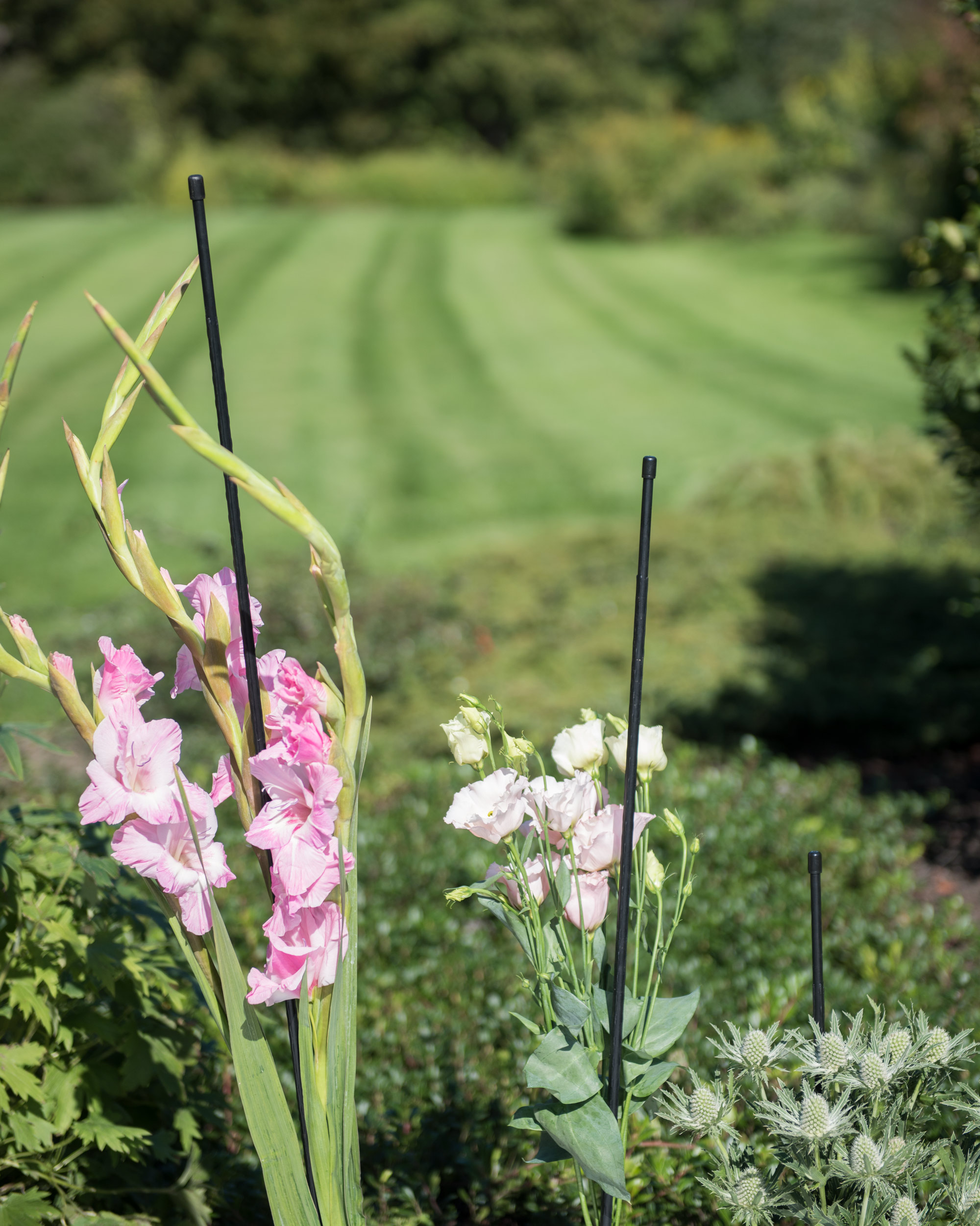 Titan Garden Stakes 4', Set of 12