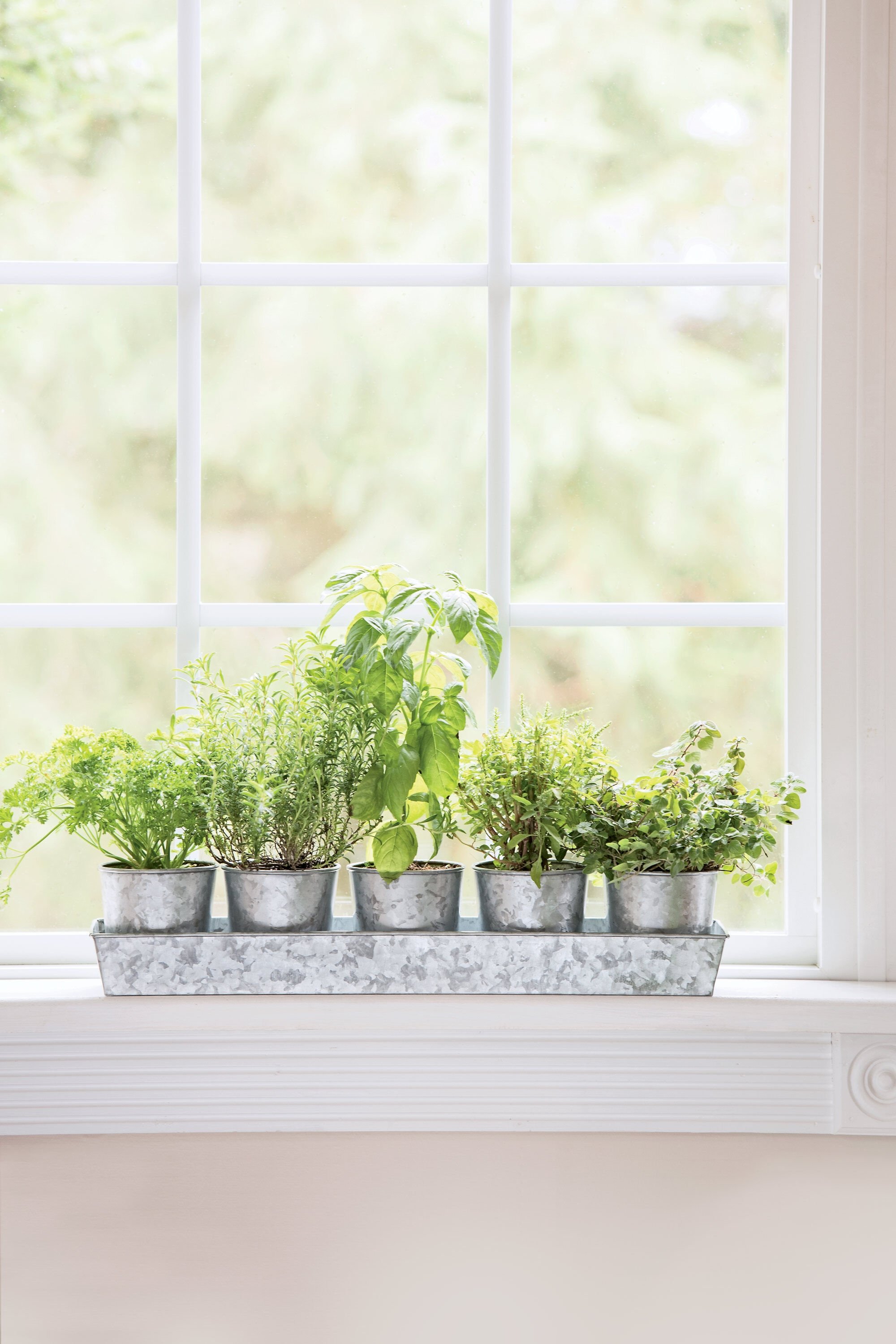 Rustic Shabby Style Ceramic Windowsill Herb Planter Flower Pots Kitchen Garden 