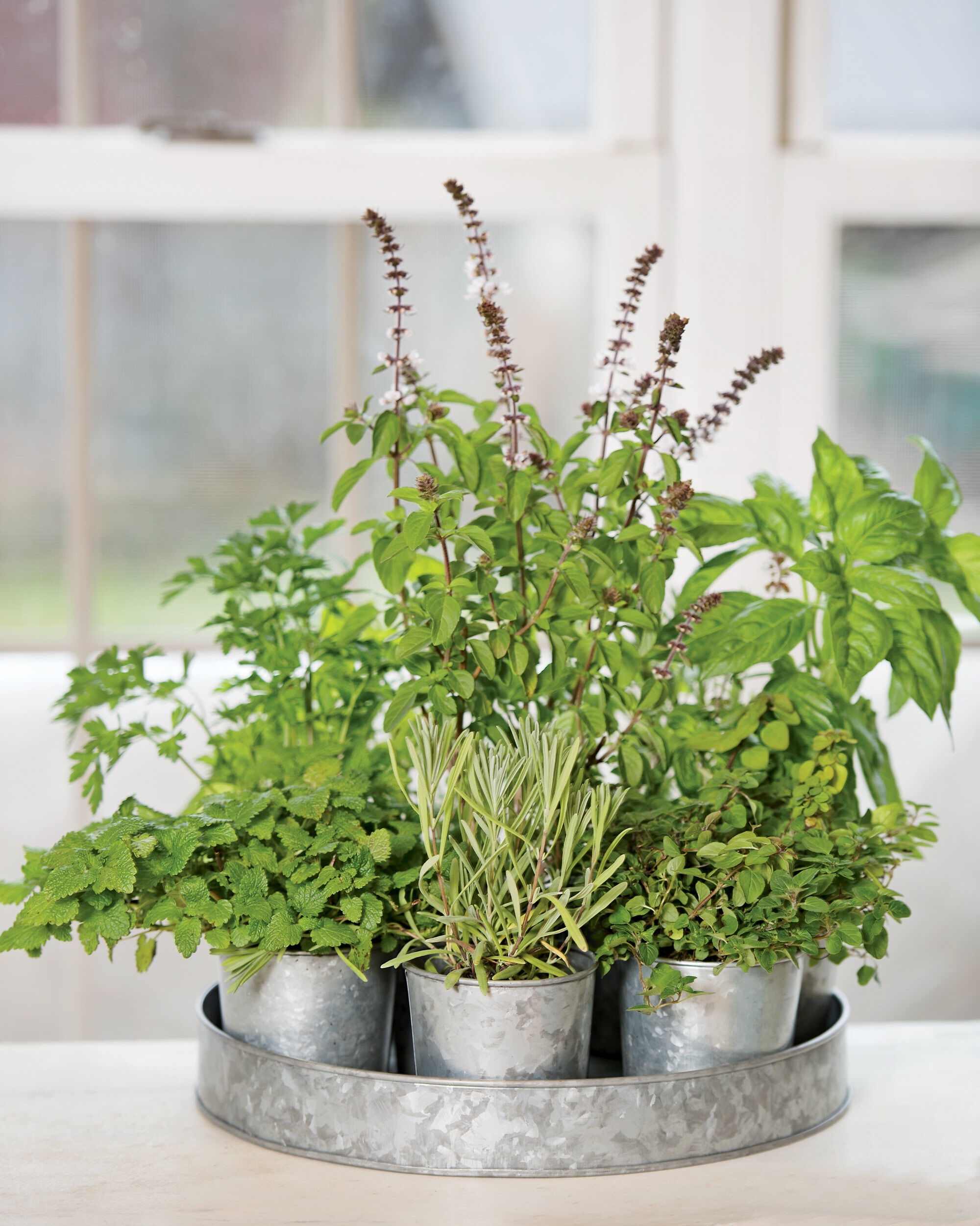 Charcoal Oval Planter Zinc Metal Garden Plant Herb Pot Wedding Table Centrepiece 