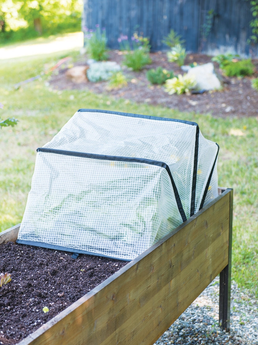 Agfabric .55Oz Series Raised Bed Cover Row Cover Plant Cover for Protect 