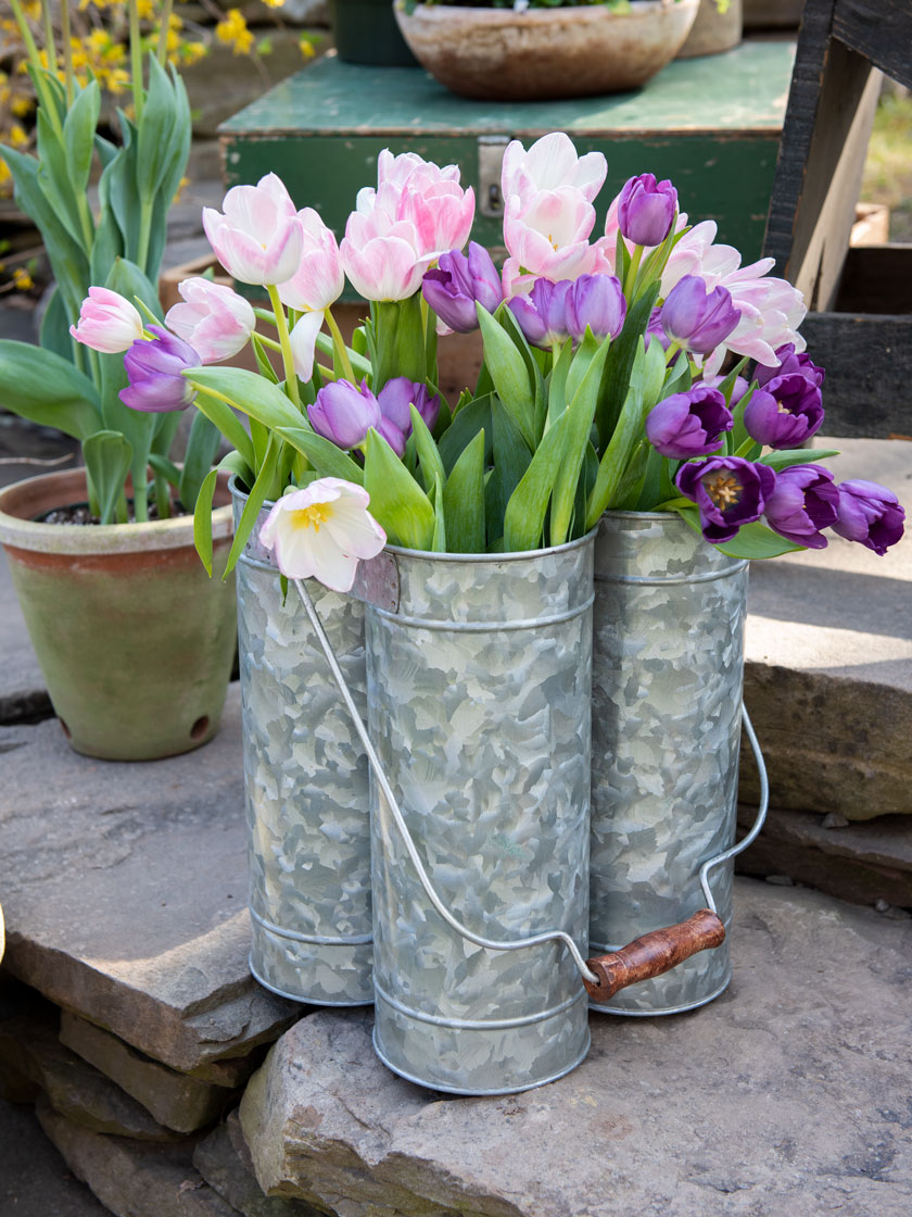 Ex Tall Metal Tin Flower Vase Vintage Style Bucket Planters Garden Pot Pail Ex Tall Metal Tin Flower Vase Vintage Style Bucket Planters Garden Pot Pail