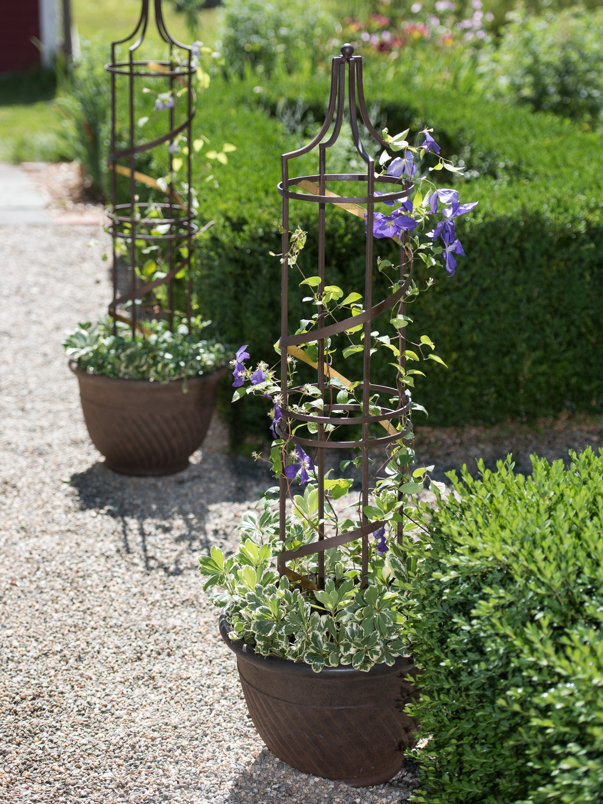 rør tælle Permanent Nocturne Plant Pot Obelisk Trellis | Gardeners.com