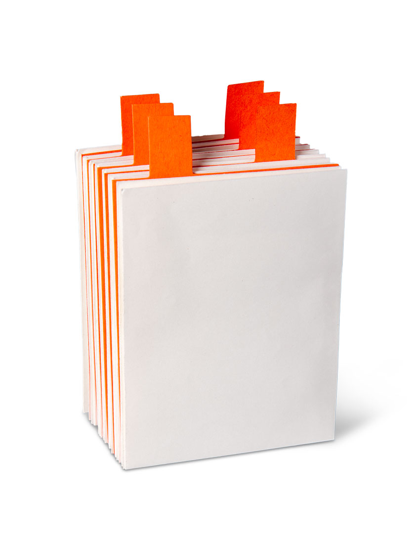 White Seed Envelopes Seeds