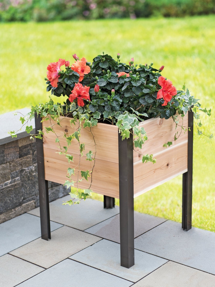 Elevated Cedar Planter Box, 2' x 2'