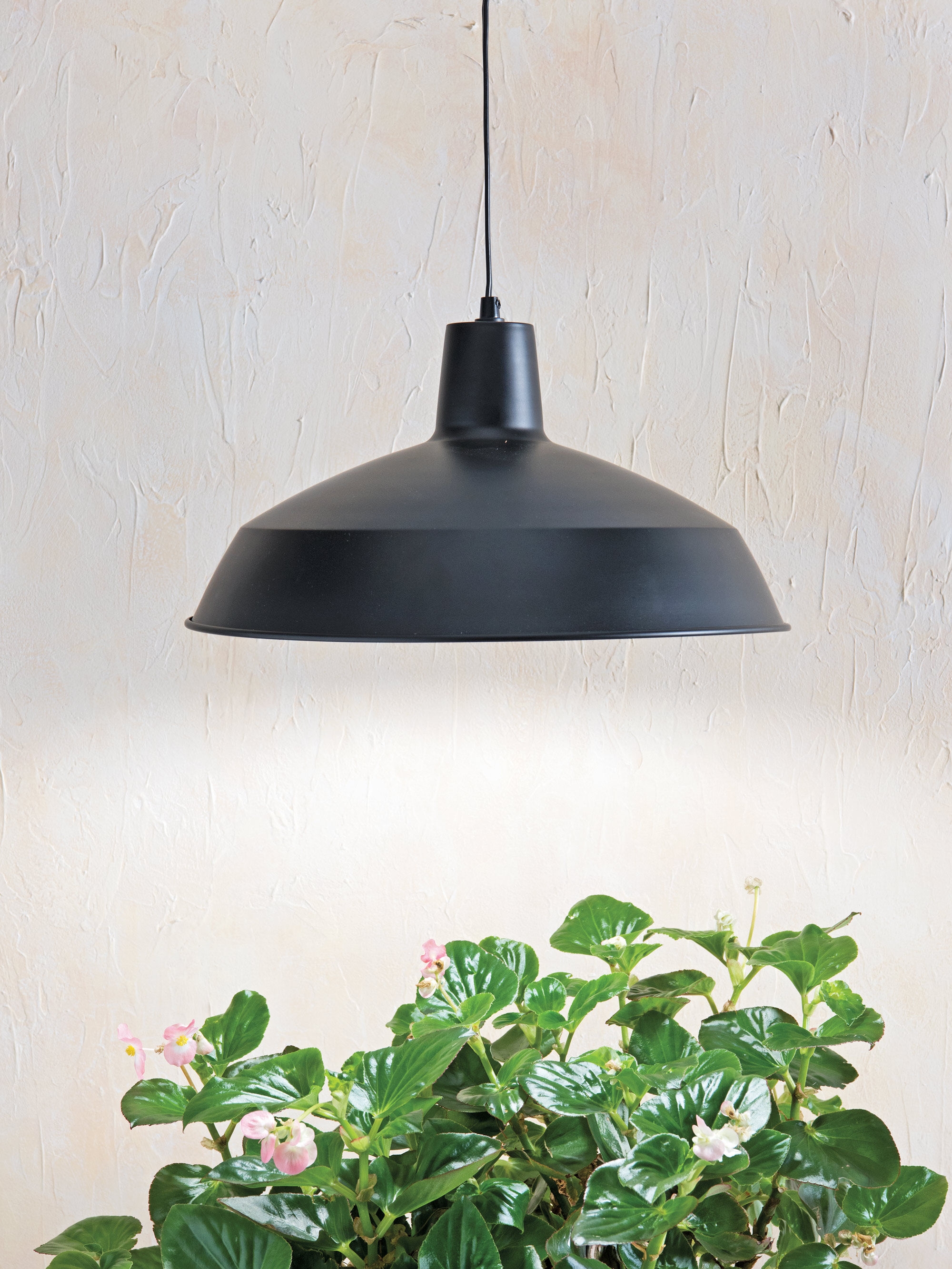 Hanging grow light deals