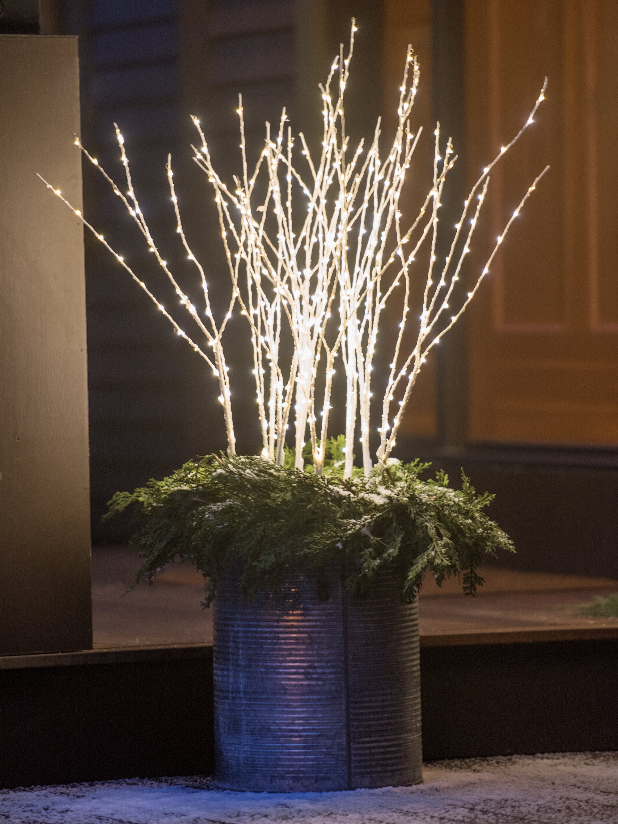 Birch Micro LED Outdoor Branches, Set of 3