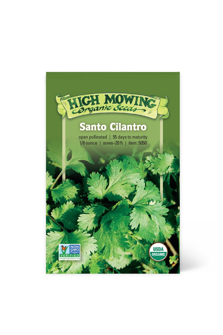 Santo Cilantro Organic Seeds