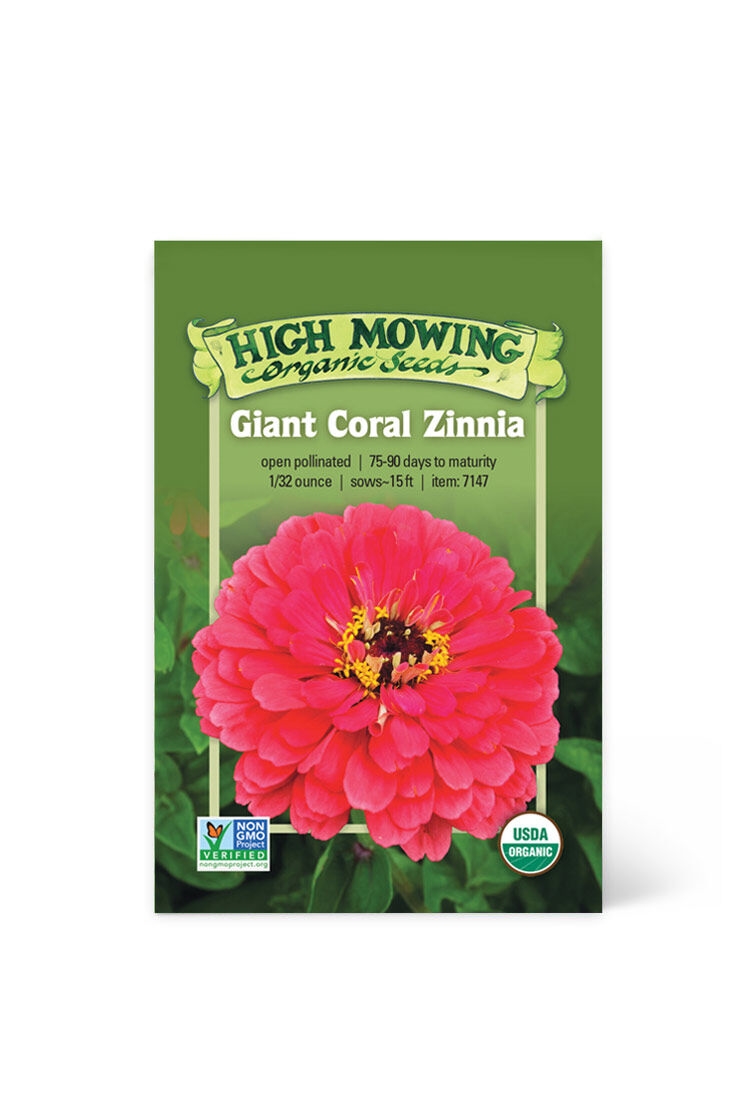 Giant Coral Zinnia Organic Seeds